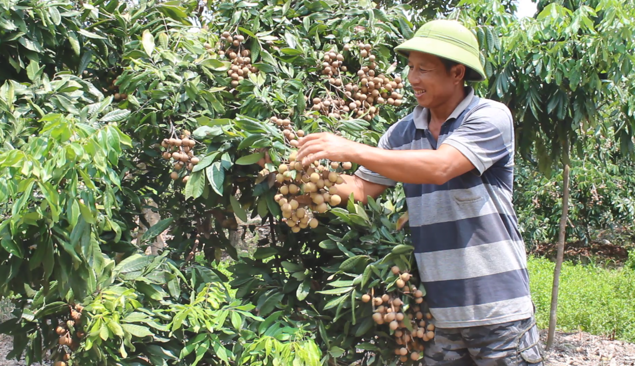   Hợp Tác xã nông nghiệp Minh Tiến đảm bảo vệ sinh an toàn thực phẩm