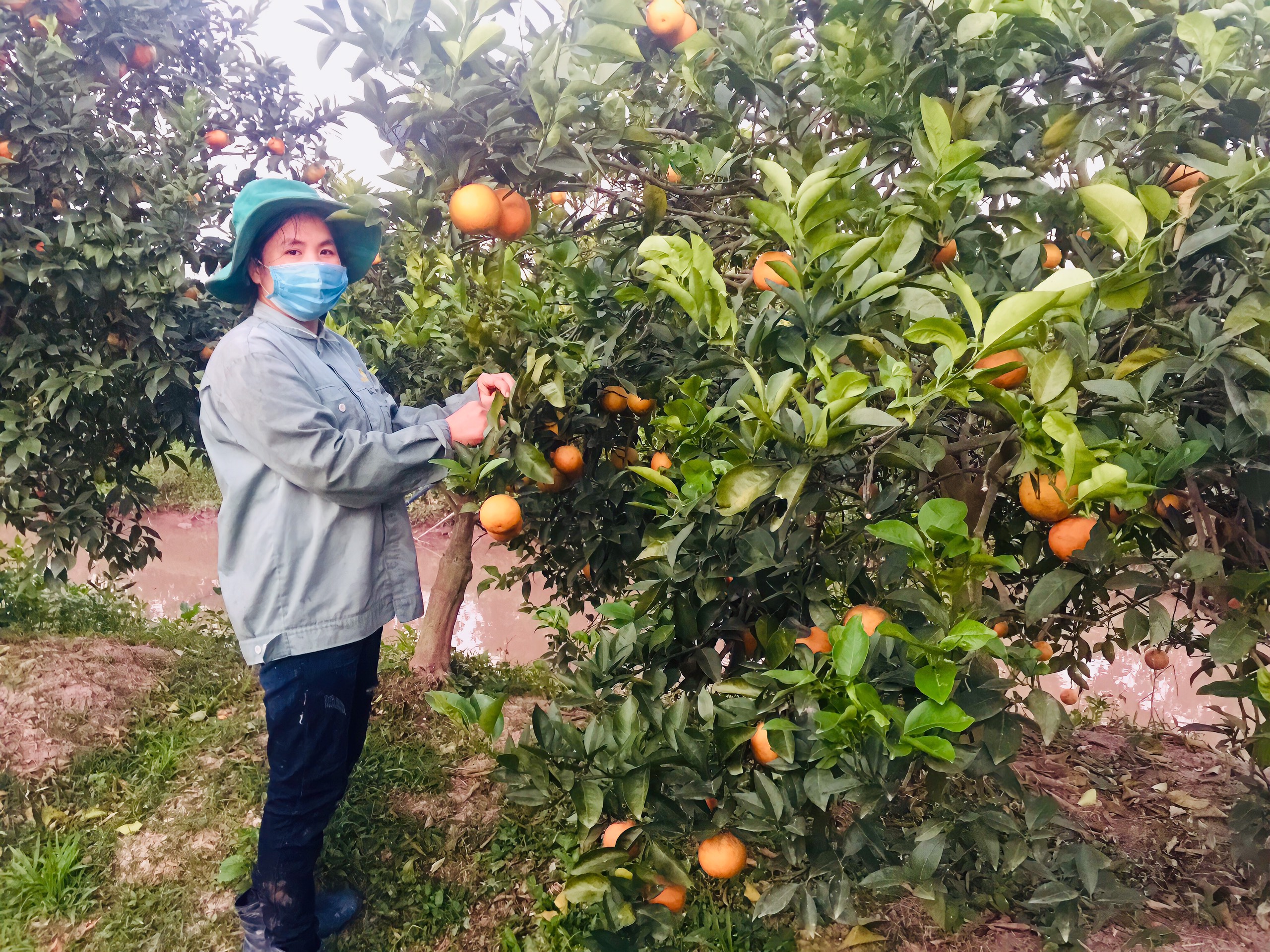   Hội LHPN Tam Đa đẩy mạnh công tác tuyên truyền, vận động hội viên, phụ nữ thực hiện tốt vệ sinh an toàn thực phẩm