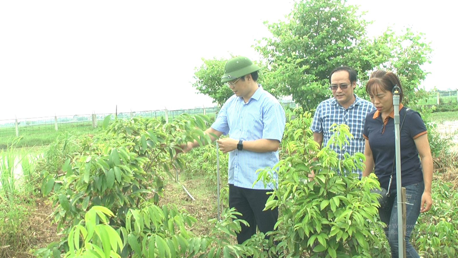   Lãnh đạo huyện thăm đồng, kiểm tra tình hình sản xuất lúa vụ mùa và thăm một số mô hình sản xuất nông nghiệp trên địa bàn huyện